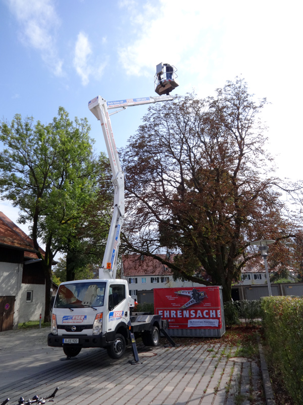 20 m Arbeitsbühne Teleskop