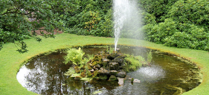 Pumpen für Teich Schwimmbad und Brunnen Augsburg