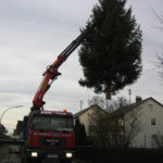 Das Foto zeigt Kranarbeit, bei der ein Lkw mit Kranarm einen Baum vom Boden hebt. Eser in Augsburg bietet Spezialkrantransporte an und stellt verschiedene Kranservices zum Mieten bereit.